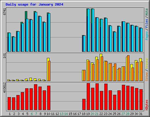 Daily usage for January 2024