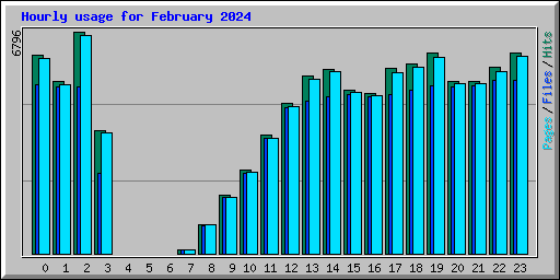 Hourly usage for February 2024