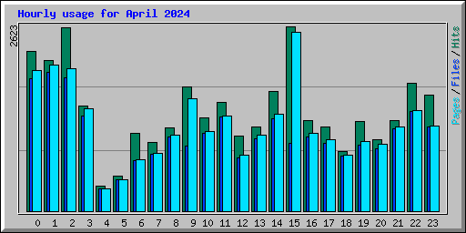 Hourly usage for April 2024