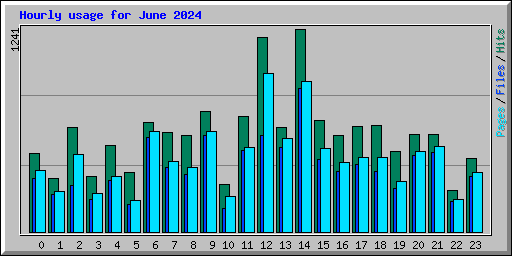 Hourly usage for June 2024