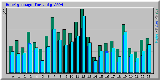 Hourly usage for July 2024