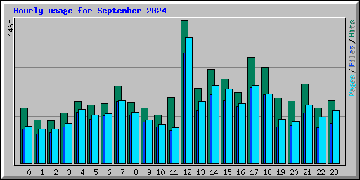 Hourly usage for September 2024