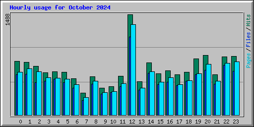 Hourly usage for October 2024