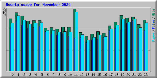 Hourly usage for November 2024